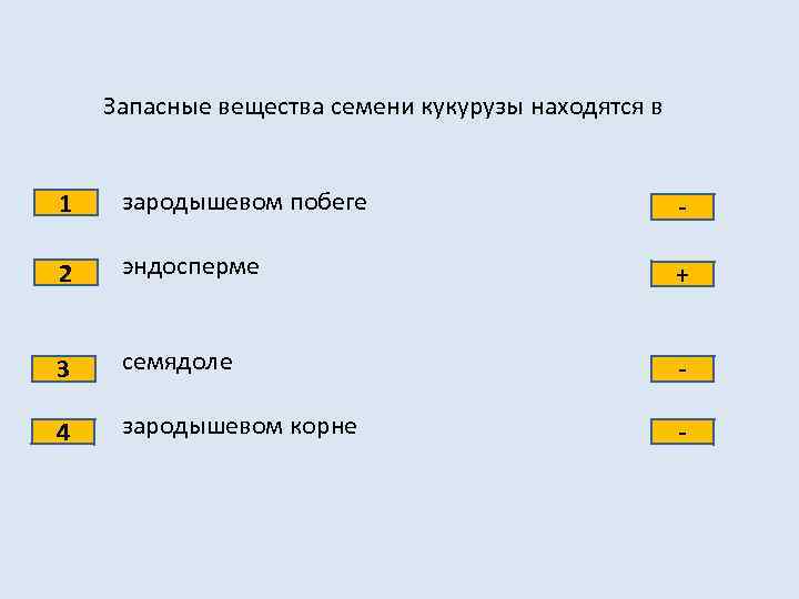 Запасные вещества семени кукурузы находятся в 1 зародышевом побеге - 2 эндосперме + 3