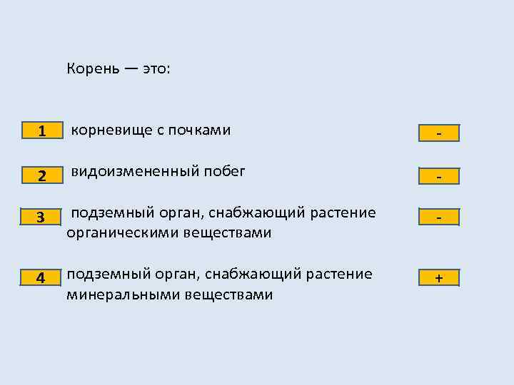 Корень — это: 1 корневище с почками - 2 видоизмененный побег - 3 подземный