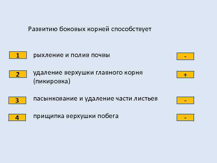 Развитию боковых корней способствует 1 рыхление и полив почвы - 2 удаление верхушки главного