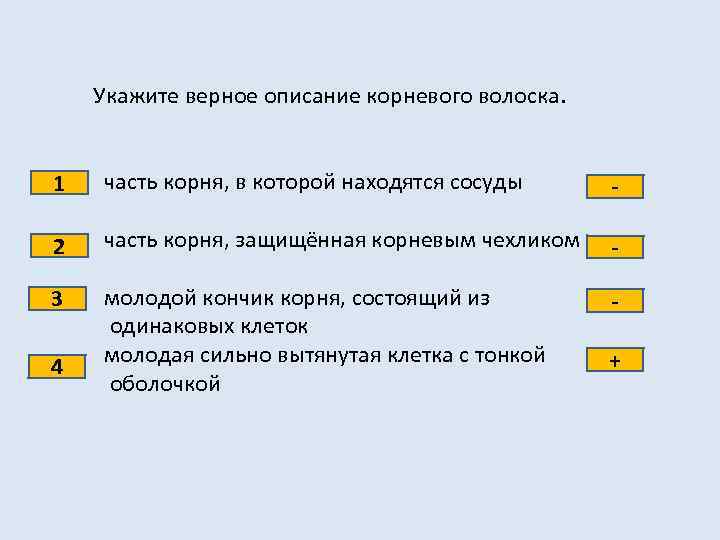 Укажите верное описание корневого волоска. 1 часть корня, в которой находятся сосуды - 2