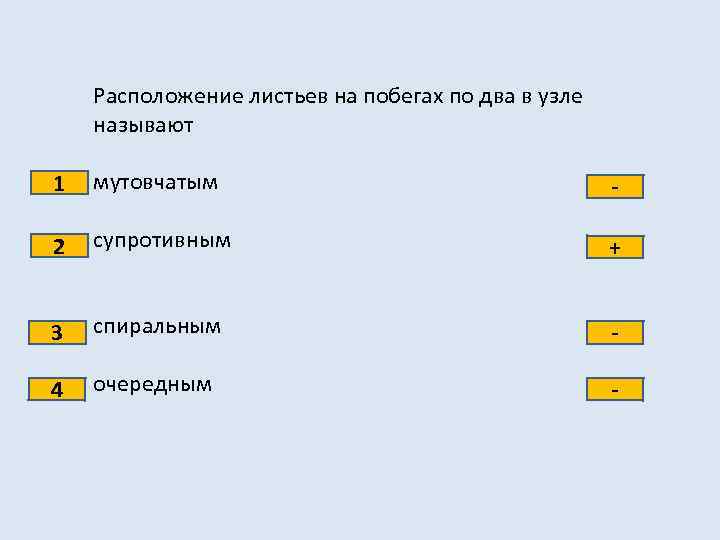 Расположение листьев на побегах по два в узле называют 1 мутовчатым - 2 супротивным