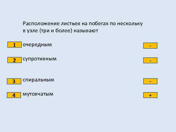 Расположение листьев на побегах по нескольку в узле (три и более) называют 1 очередным