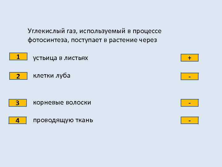 Углекислый газ, используемый в процессе фотосинтеза, поступает в растение через 1 устьица в листьях