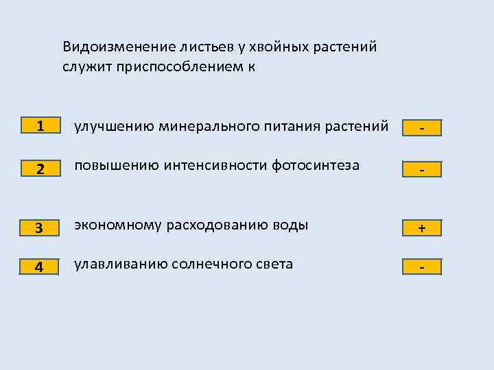 Видоизменение листьев у хвойных растений служит приспособлением к 1 улучшению минерального питания растений -