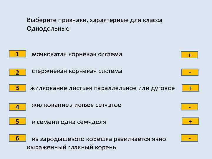 Выберите признаки, характерные для класса Однодольные 1 мочковатая корневая система + 2 стержневая корневая