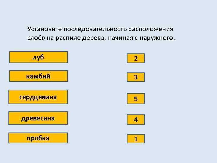 Установите последовательность расположения слоёв на распиле дерева, начиная с наружного. луб 2 камбий 3