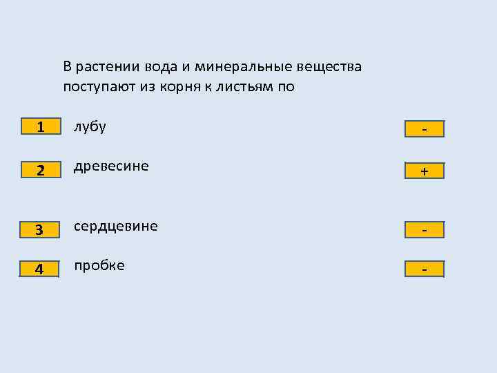 В растении вода и минеральные вещества поступают из корня к листьям по 1 лубу