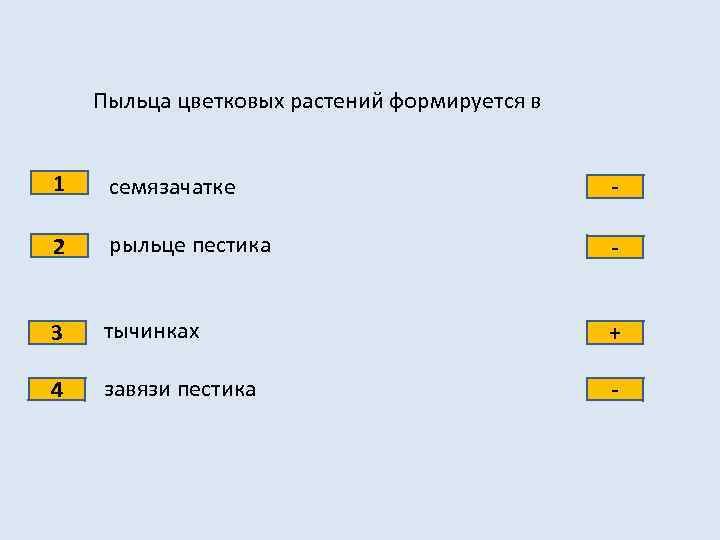 Пыльца цветковых растений формируется в 1 семязачатке - 2 рыльце пестика - 3 тычинках