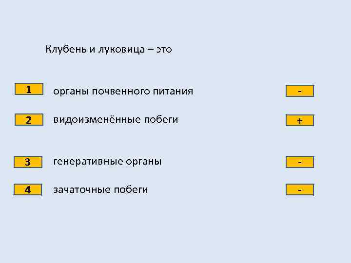 Клубень и луковица – это 1 органы почвенного питания - 2 видоизменённые побеги +