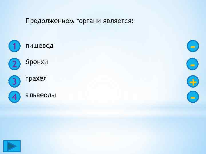 Продолжением гортани является: 1 пищевод 2 бронхи 3 трахея 4 альвеолы + - 