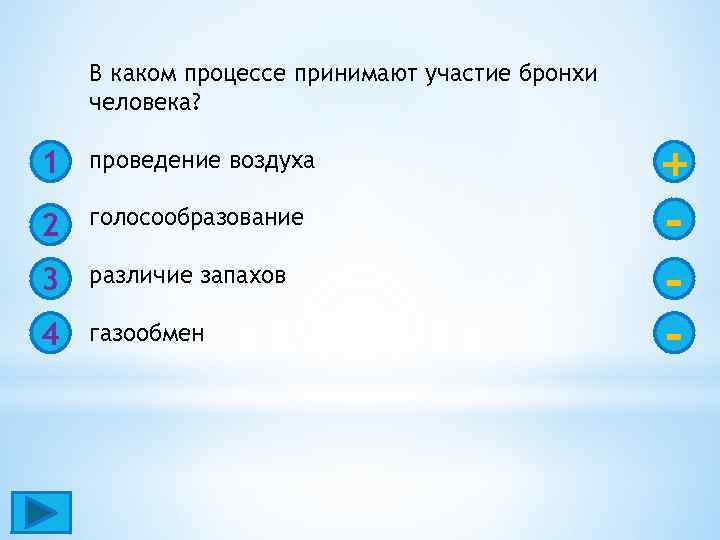 В каком процессе участвуют. В каком процессе принимают участие бронхи. Проведение воздуха и голосообразование. В каком процессе принимают участие трахея человека. Процессе принимают участие бронхи человека.