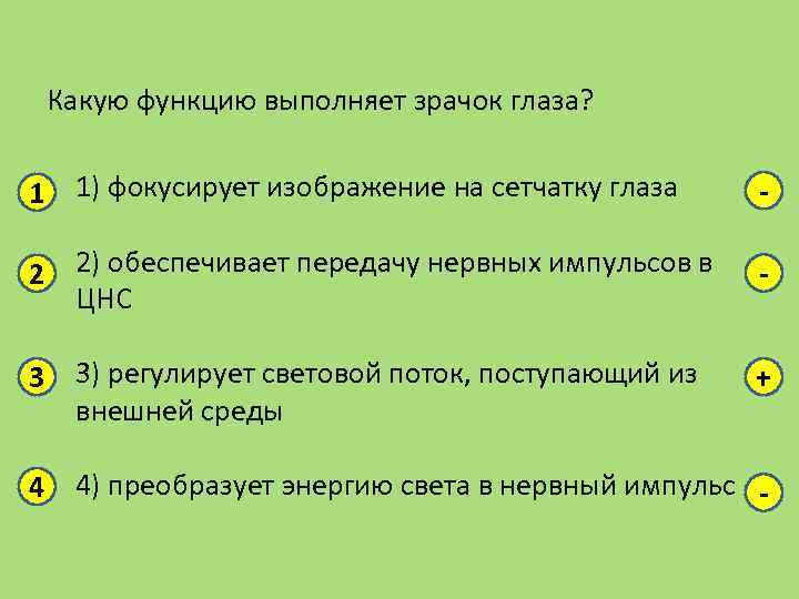 Какую функцию выполняет зрачок глаза? 1 1) фокусирует изображение на сетчатку глаза - 2