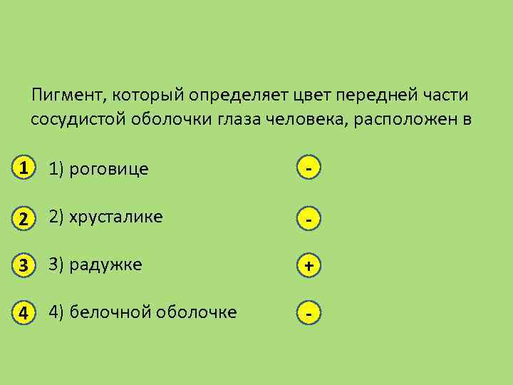 Пигмент, который определяет цвет передней части сосудистой оболочки глаза человека, расположен в 1 1)