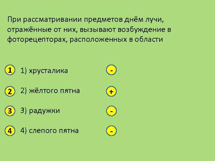 При рассматривании предметов днём лучи, отражённые от них, вызывают возбуждение в фоторецепторах, расположенных в