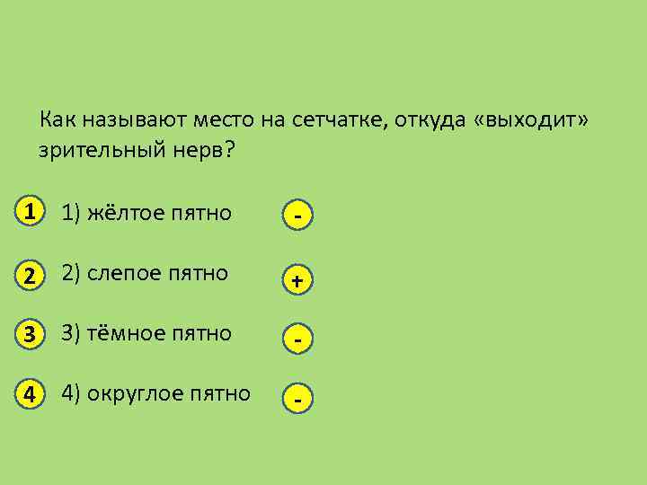 Как называют место на сетчатке, откуда «выходит» зрительный нерв? 1 1) жёлтое пятно -