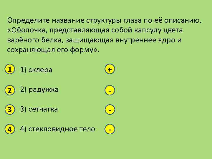 Определите название структуры глаза по её описанию. «Оболочка, представляющая собой капсулу цвета варёного белка,