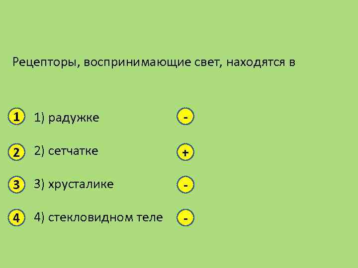 Рецепторы, воспринимающие свет, находятся в 1 1) радужке - 2 2) сетчатке + 3