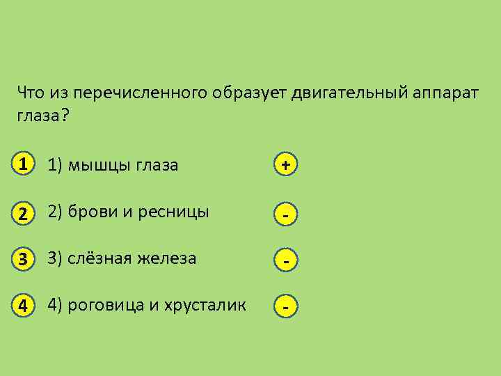 Что из перечисленного образует двигательный аппарат глаза? 1 1) мышцы глаза + 2 2)