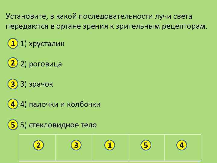 В какой последовательности. Последовательность прохождения светового луча. Последовательность лучей света к зрительным рецепторам. Кстаеовите в какой посое. Последовательность передачи лучей света в органе зрения.