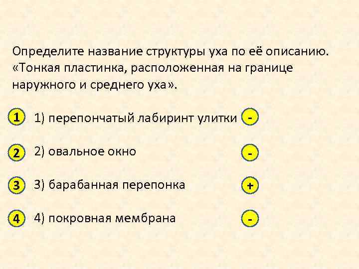 Какой цифрой на рисунке обозначена часть анализатора участвующая в определении тела в пространстве