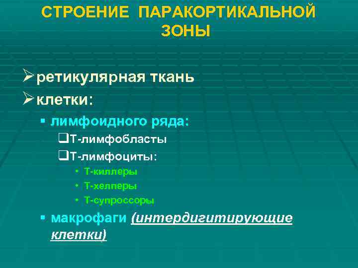 СТРОЕНИЕ ПАРАКОРТИКАЛЬНОЙ ЗОНЫ Øретикулярная ткань Øклетки: § лимфоидного ряда: q. Т-лимфобласты q. Т-лимфоциты: •