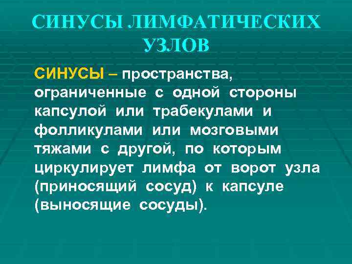 СИНУСЫ ЛИМФАТИЧЕСКИХ УЗЛОВ СИНУСЫ – пространства, ограниченные с одной стороны капсулой или трабекулами и