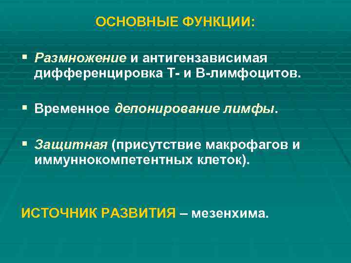 ОСНОВНЫЕ ФУНКЦИИ: § Размножение и антигензависимая дифференцировка Т- и В-лимфоцитов. § Временное депонирование лимфы.