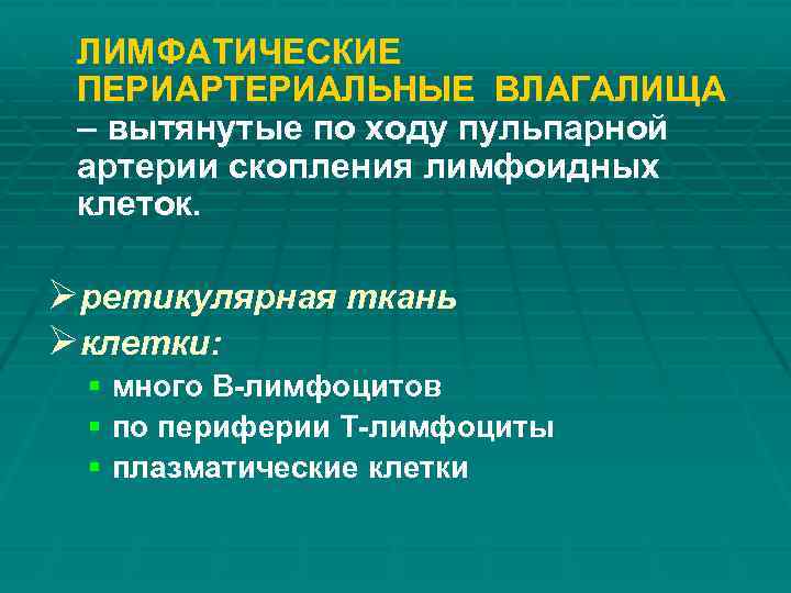 ЛИМФАТИЧЕСКИЕ ПЕРИАРТЕРИАЛЬНЫЕ ВЛАГАЛИЩА – вытянутые по ходу пульпарной артерии скопления лимфоидных клеток. Øретикулярная ткань