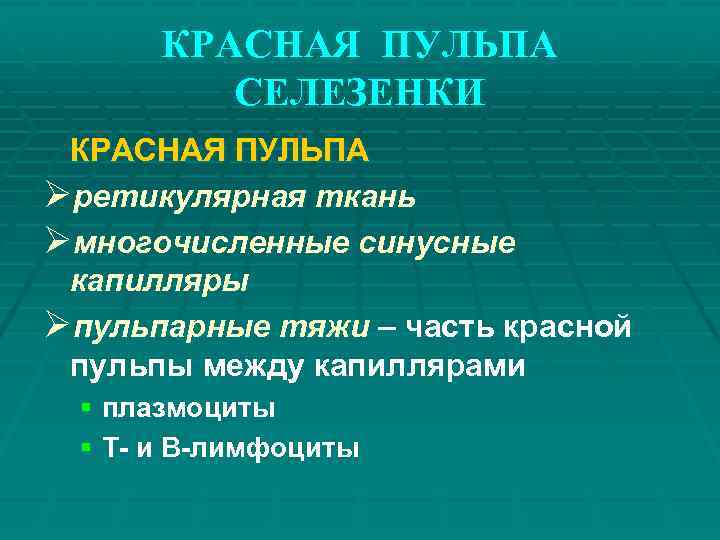 КРАСНАЯ ПУЛЬПА СЕЛЕЗЕНКИ КРАСНАЯ ПУЛЬПА Øретикулярная ткань Øмногочисленные синусные капилляры Øпульпарные тяжи – часть