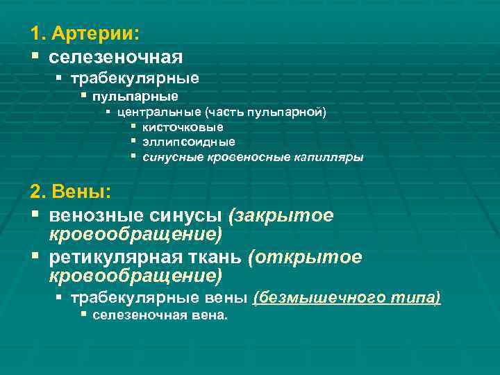 1. Артерии: § селезеночная § трабекулярные § пульпарные § центральные (часть пульпарной) § кисточковые