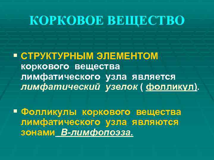 КОРКОВОЕ ВЕЩЕСТВО § СТРУКТУРНЫМ ЭЛЕМЕНТОМ коркового вещества лимфатического узла является лимфатический узелок ( фолликул).