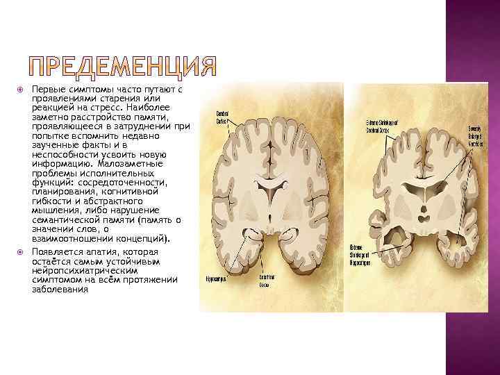  Первые симптомы часто путают с проявлениями старения или реакцией на стресс. Наиболее заметно