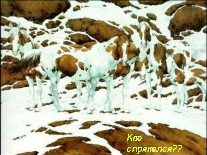 Кто спрятался? ? 