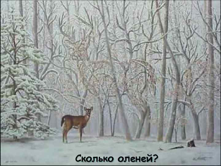 Сколько оленей? 