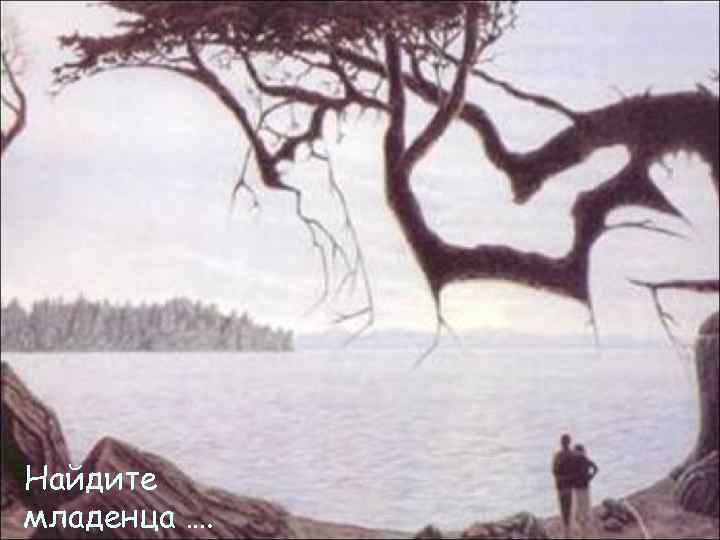 Найдите младенца …. 