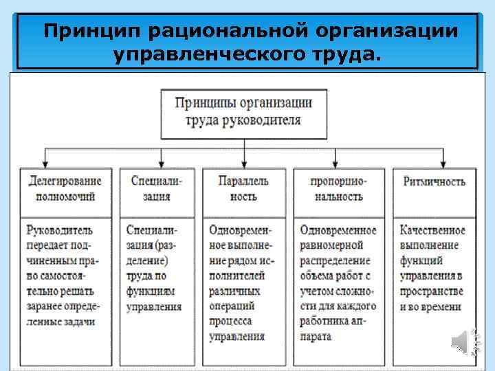 Организация труда и управление трудом. Принципы рациональной организации труда. Назовите принципы рациональной организации труда. Принципы рациональной организации трудовых процессов. Принципы рационализации управленческого труда.