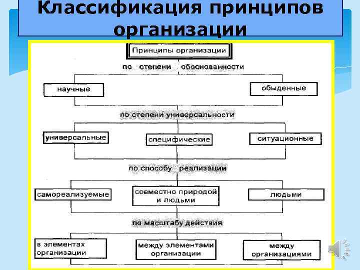 Принцип ф. Общая классификация принципов организации. Классификация теории организации. Классификация идей. Классифицируйте принципы организации.