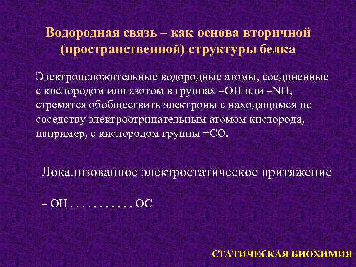 Водородная связь – как основа вторичной (пространственной) структуры белка Электроположительные водородные атомы, соединенные с