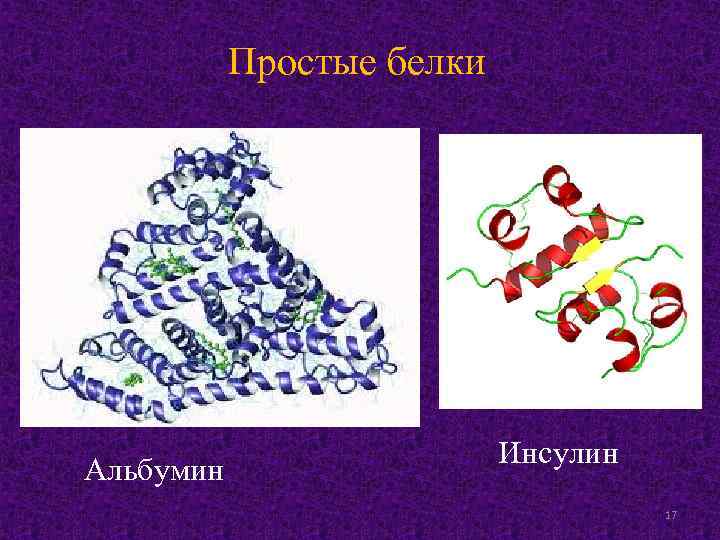 Простые белки Альбумин Инсулин 17 