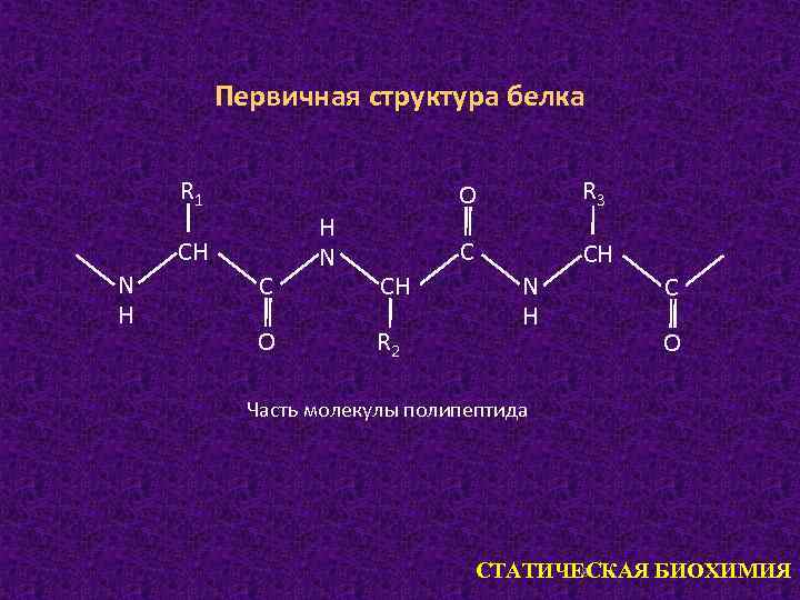 Первичная структура белка R 1 О СН N Н С О Н N С