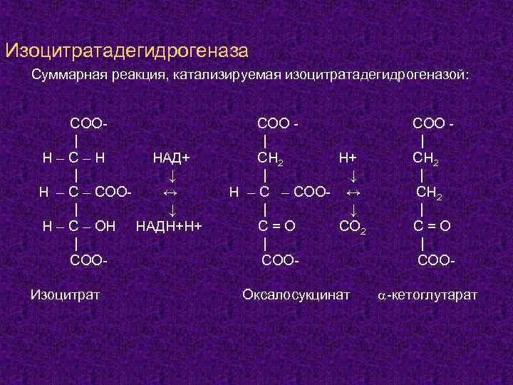 Изоцитратадегидрогеназа Суммарная реакция, катализируемая изоцитратадегидрогеназой: COO| H–C–H НАД+ | ↓ H – COO↔ |
