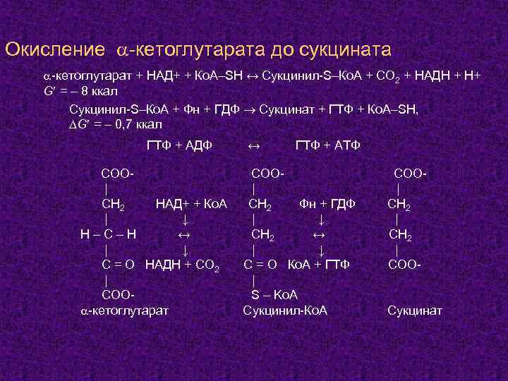 Окисление -кетоглутарата до сукцината -кетоглутарат + НАД+ + Ко. А–SH ↔ Cукцинил-S–Ко. А +
