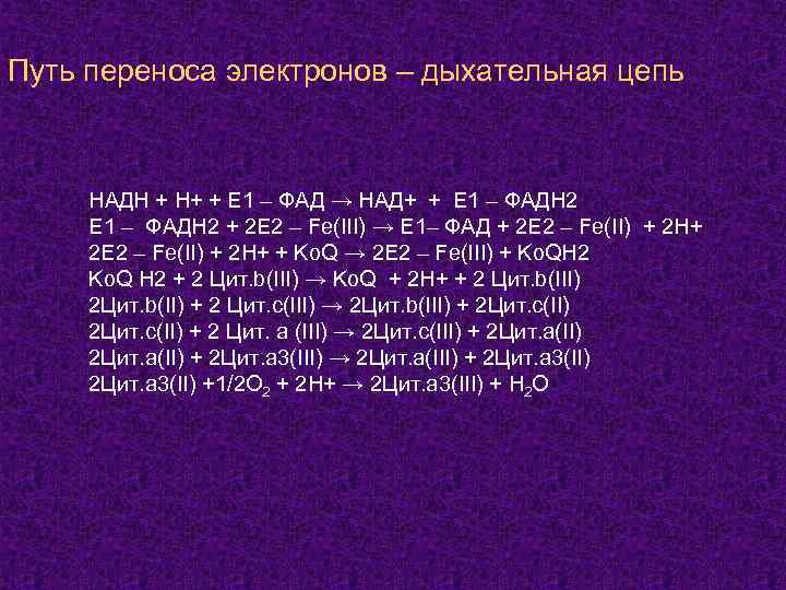 Путь переноса электронов – дыхательная цепь НАДН + Н+ + Е 1 – ФАД