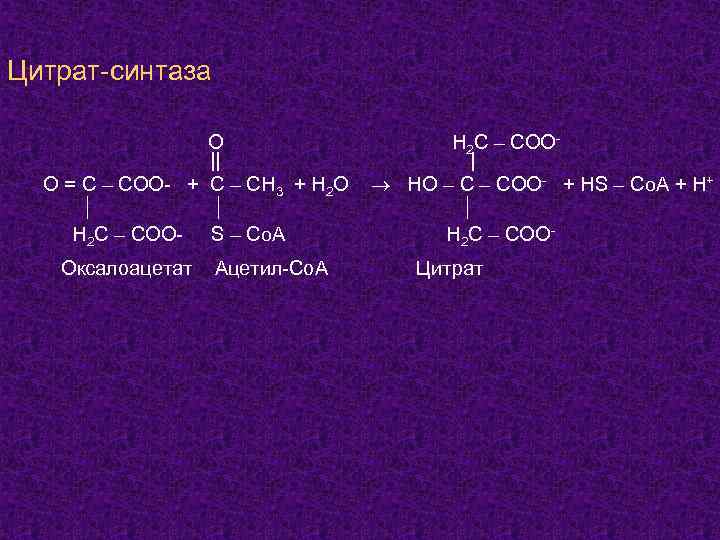 Цитрат-синтаза O || О = С – СОО- + С – СН 3 +