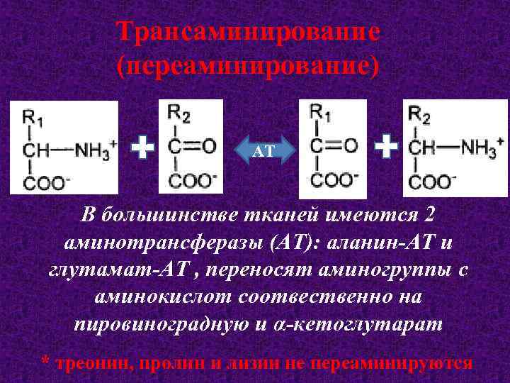 Трансаминирование (переаминирование) АТ В большинстве тканей имеются 2 аминотрансферазы (АТ): аланин-АТ и глутамат-АТ ,
