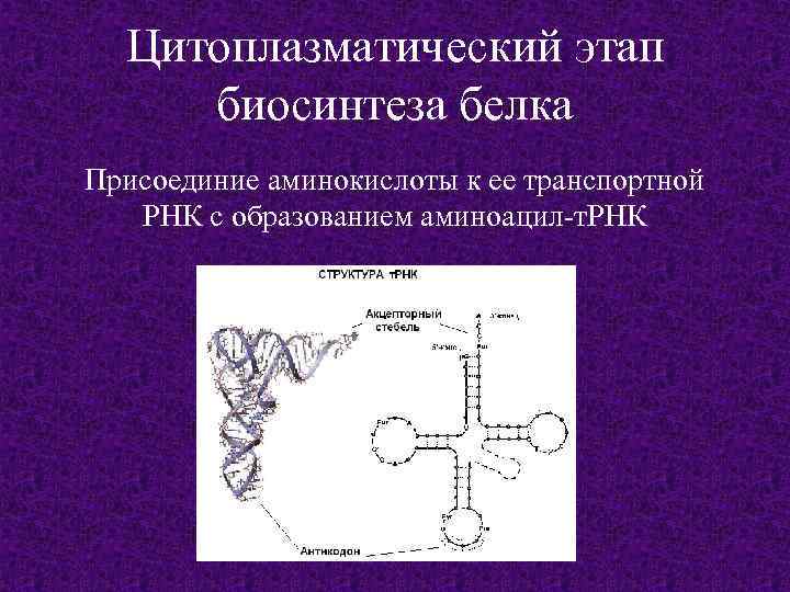 Центральный процесс