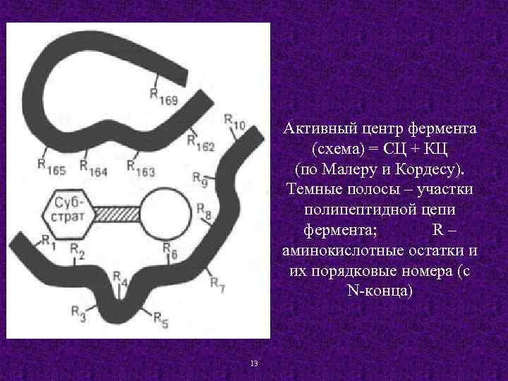 Активный центр фермента