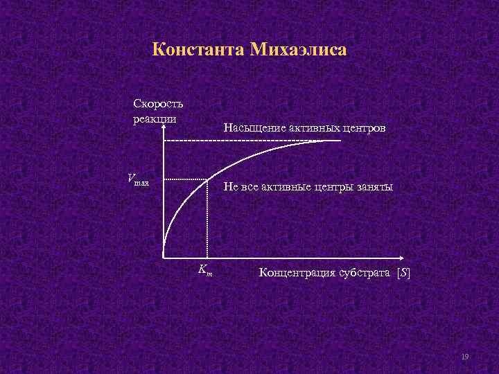 Константа Михаэлиса Скорость реакции Насыщение активных центров Vmax Не все активные центры заняты Km