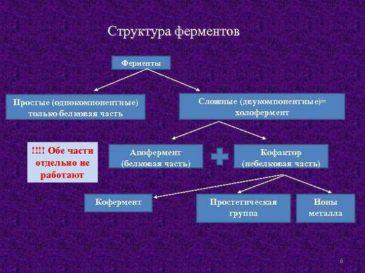 Структура ферментов