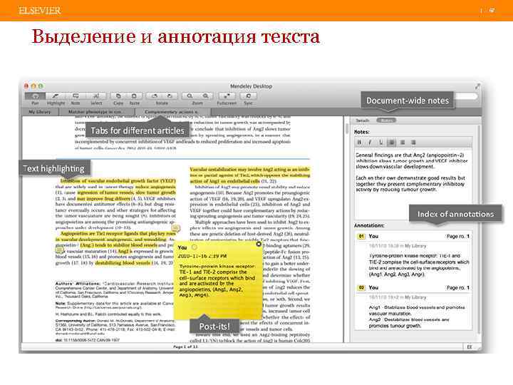 | 67 Выделение и аннотация текста 